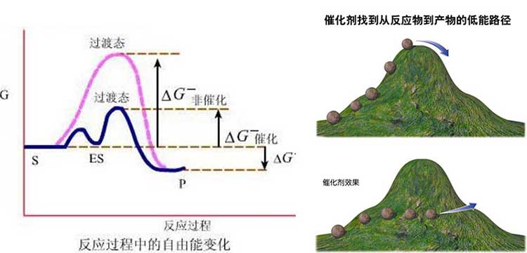 催化燃烧设备工作原理图